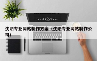 武汉沈阳专业网站制作方案（沈阳专业网站制作公司）